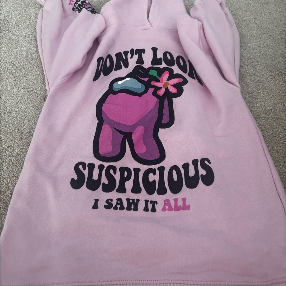 Zara Light Pink Hoodie
